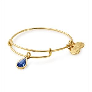 ALEX and ANI Sapphire Birthstone Charm Bangle